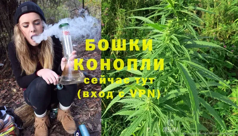 Конопля Ganja  Заозёрный 